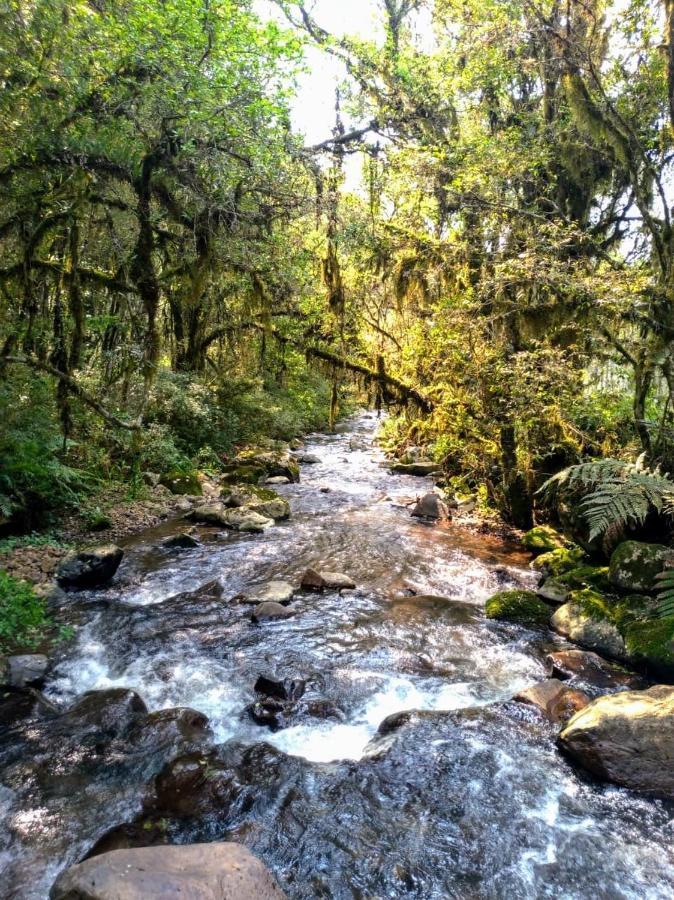 Chales Estancia Cachoeira Do Avencal Urubici Zewnętrze zdjęcie
