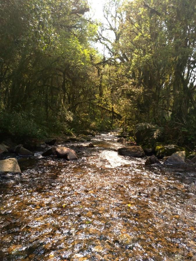 Chales Estancia Cachoeira Do Avencal Urubici Zewnętrze zdjęcie